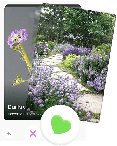 Screenshot of the Tuinder project